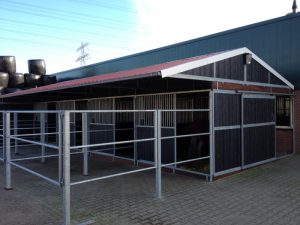 IMG 2393 e1358154546973