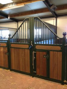 IMG 2428 e1358157474823