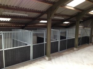 IMG 2773 2 e1375352059411