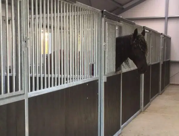 Paardenstal dichte deur